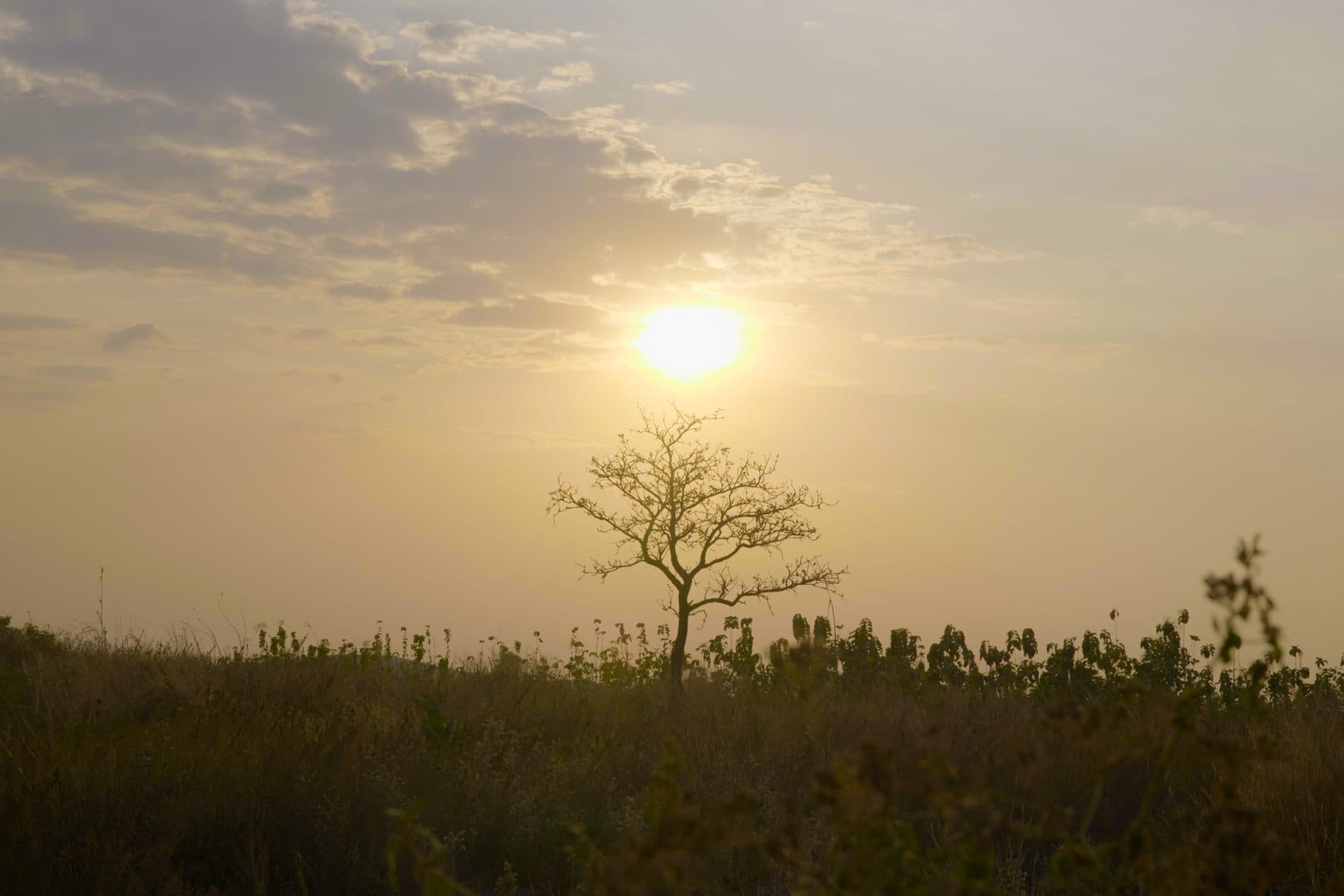 The landscape surrounding refugee and host communities